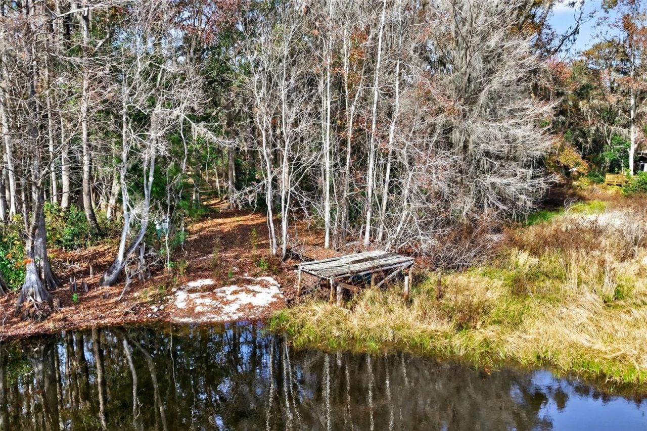 8989 S Great Oaks Drive, Floral City, FL 34436 Photo