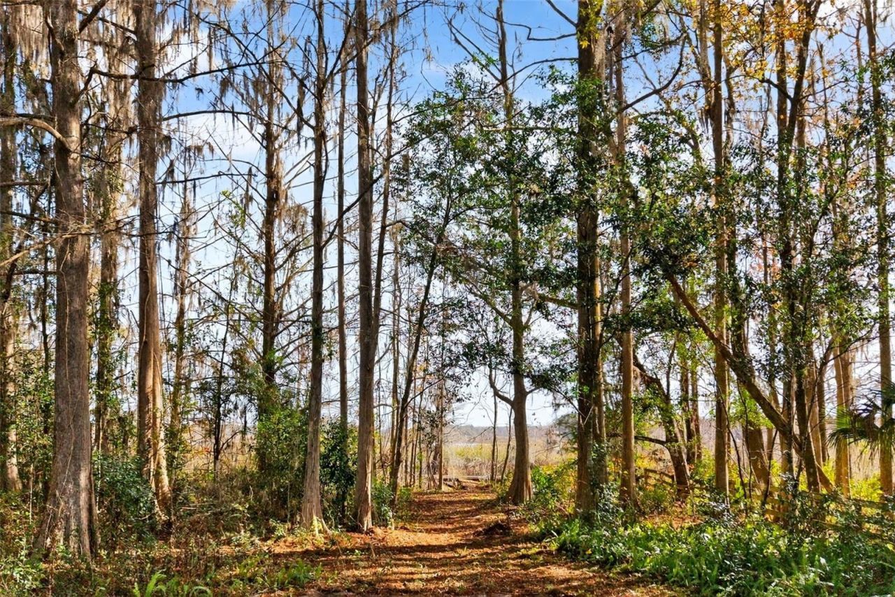 8989 S Great Oaks Drive, Floral City, FL 34436 Photo