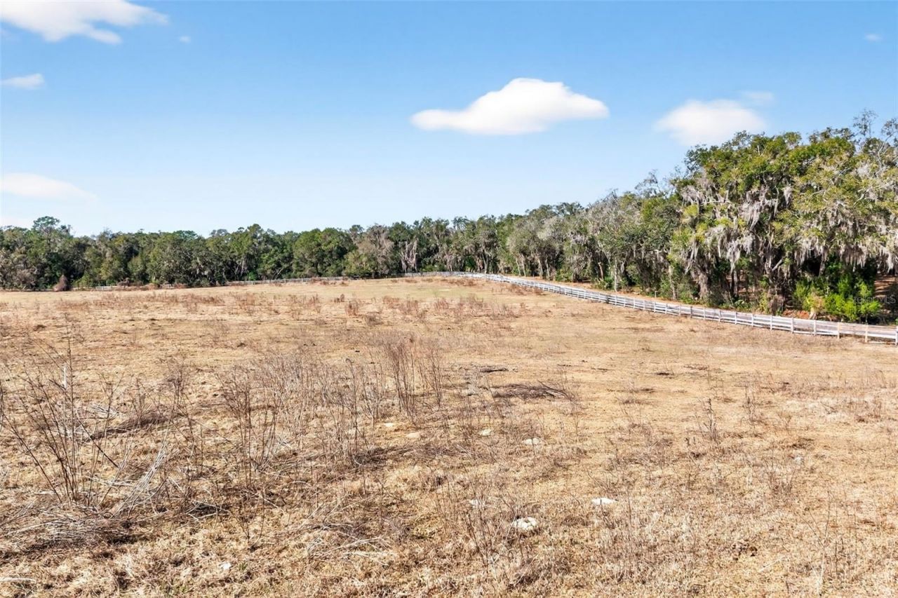 8989 S Great Oaks Drive, Floral City, FL 34436 Photo