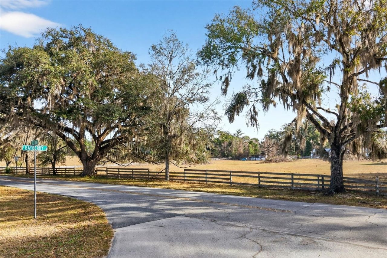 8989 S Great Oaks Drive, Floral City, FL 34436 Photo