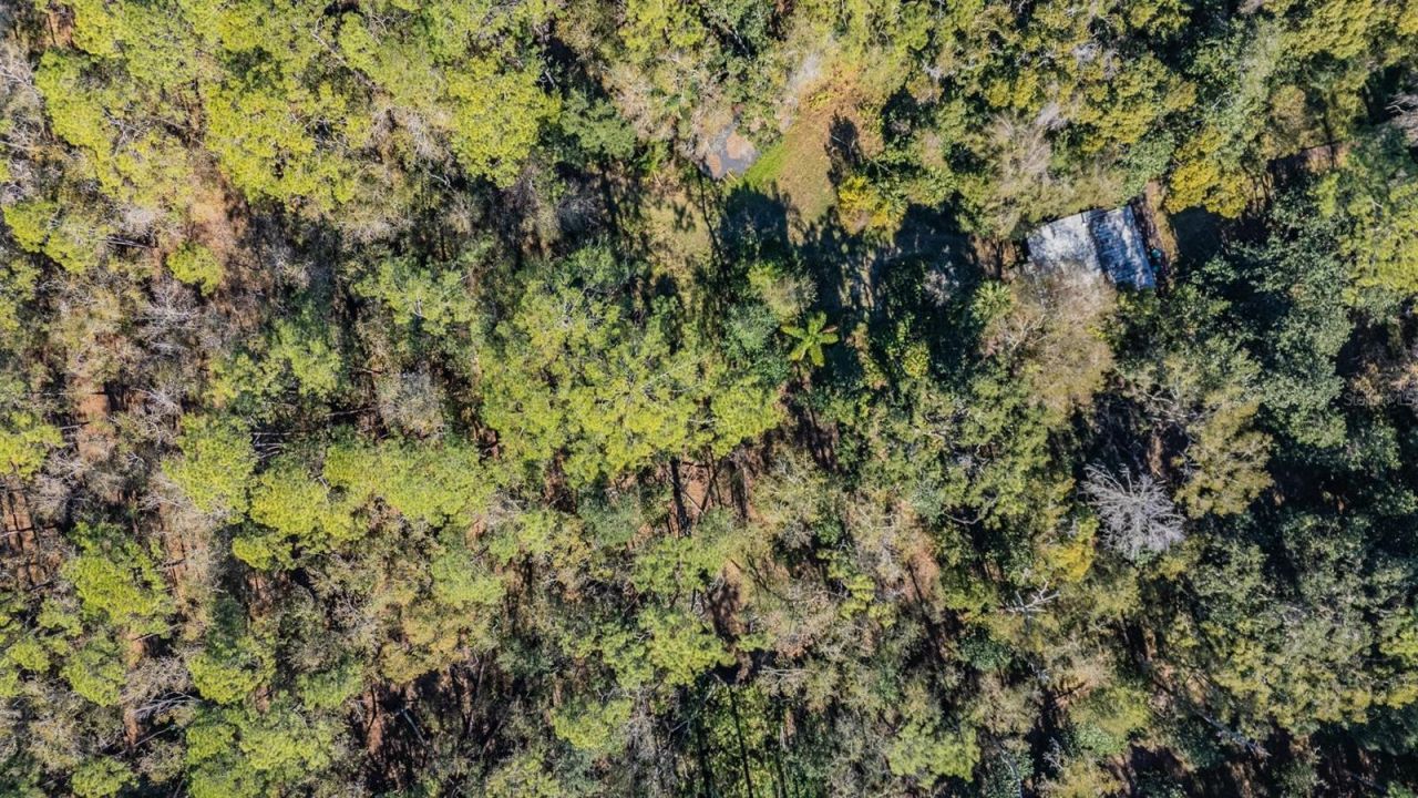 5504 Sun Up Road, Land O Lakes, FL 34638 Photo