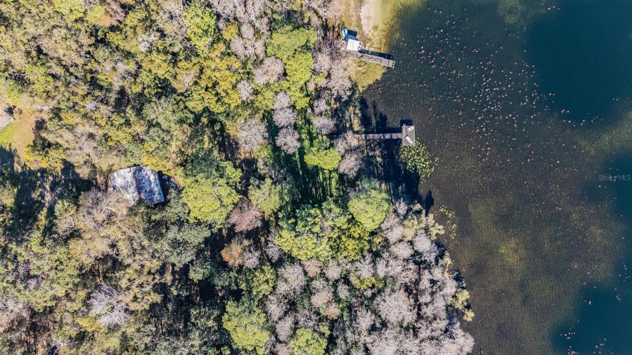 5504 Sun Up Road, Land O Lakes, FL 34638 Photo