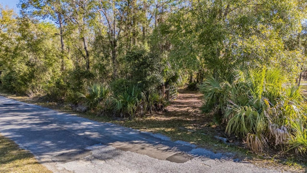 5504 Sun Up Road, Land O Lakes, FL 34638 Photo