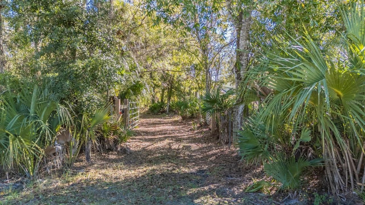5504 Sun Up Road, Land O Lakes, FL 34638 Photo