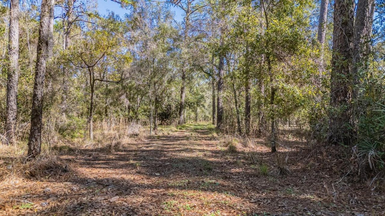 5504 Sun Up Road, Land O Lakes, FL 34638 Photo