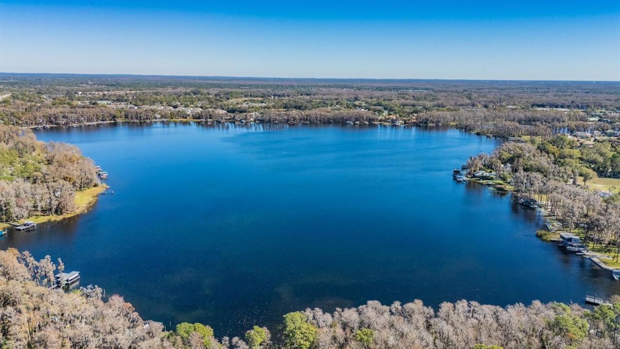 5504 Sun Up Road, Land O Lakes, FL 34638 Photo