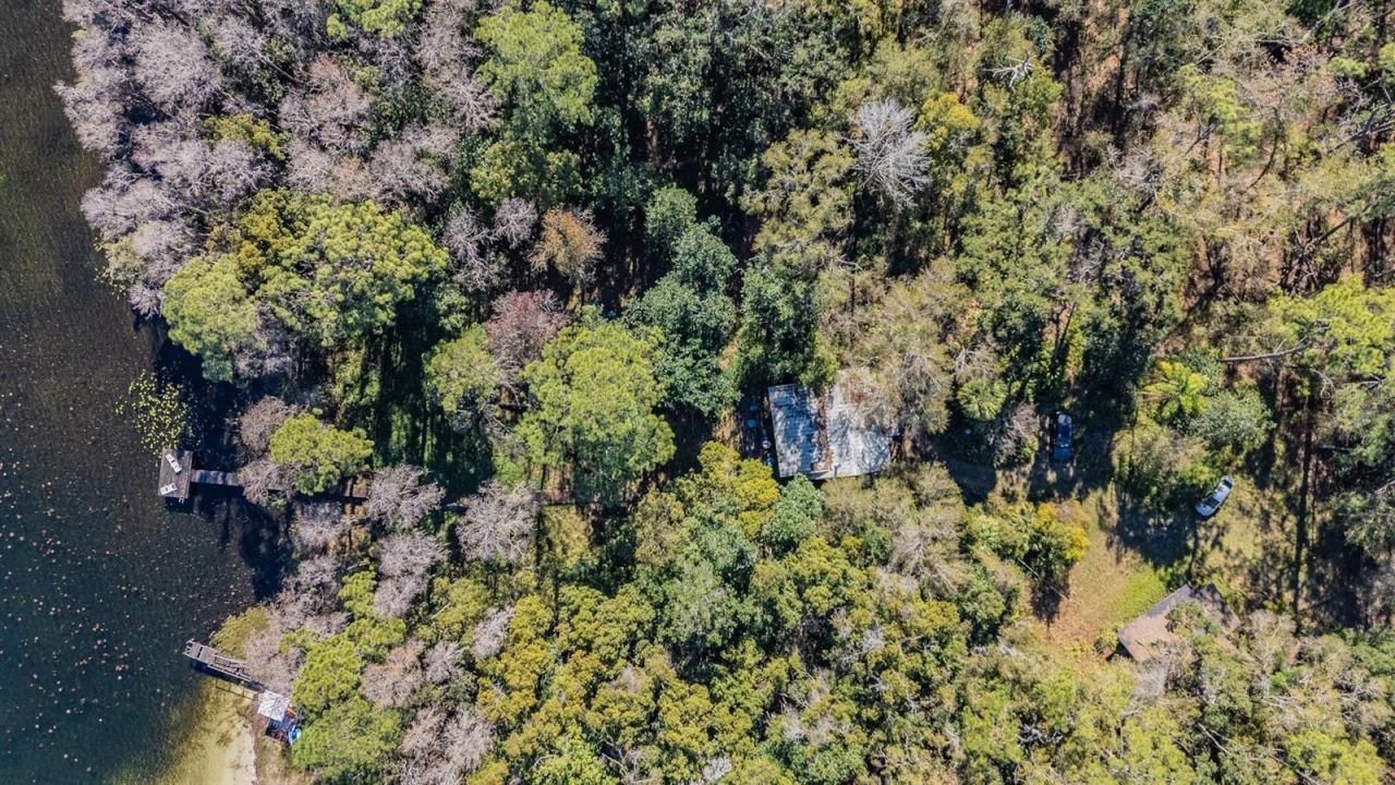 5504 Sun Up Road, Land O Lakes, FL 34638 Photo