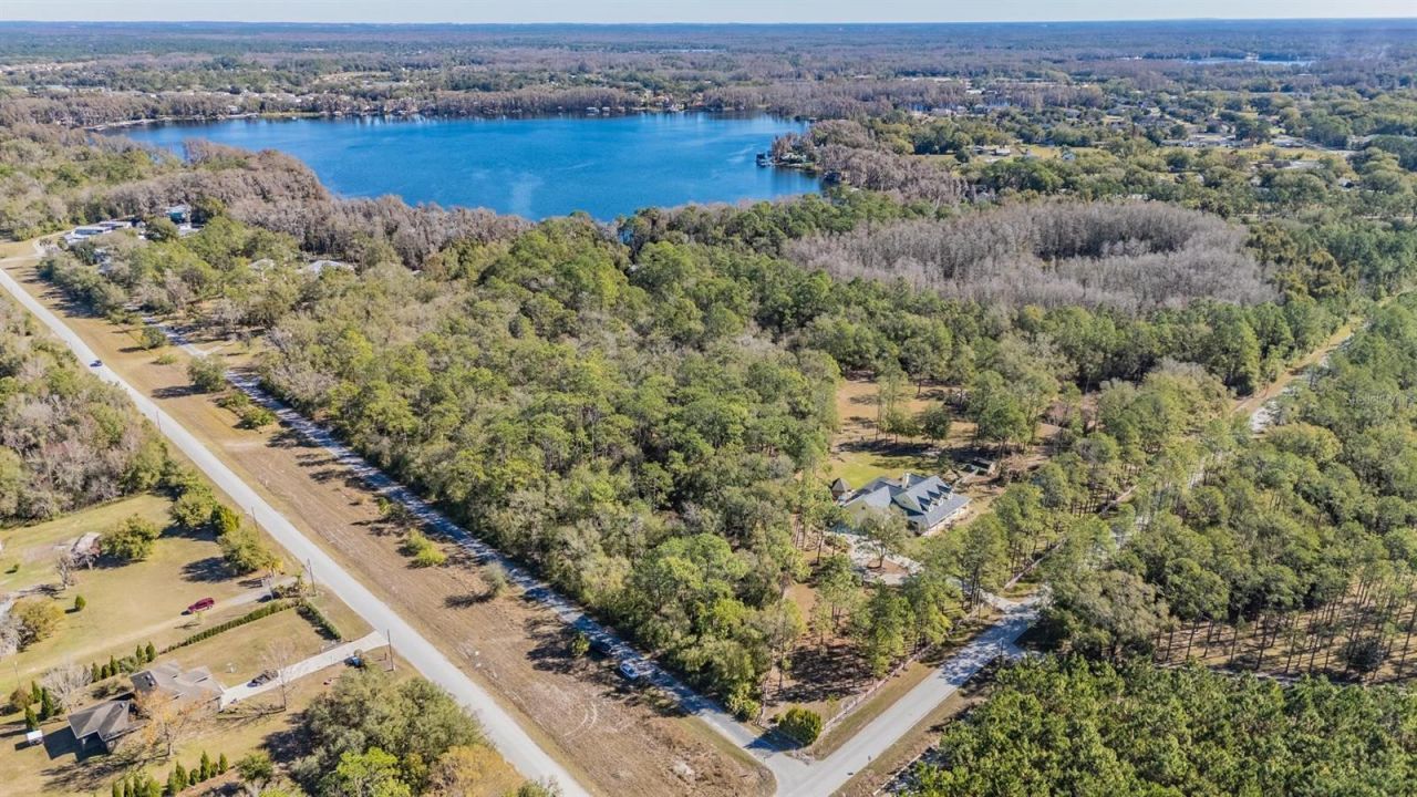5504 Sun Up Road, Land O Lakes, FL 34638 Photo