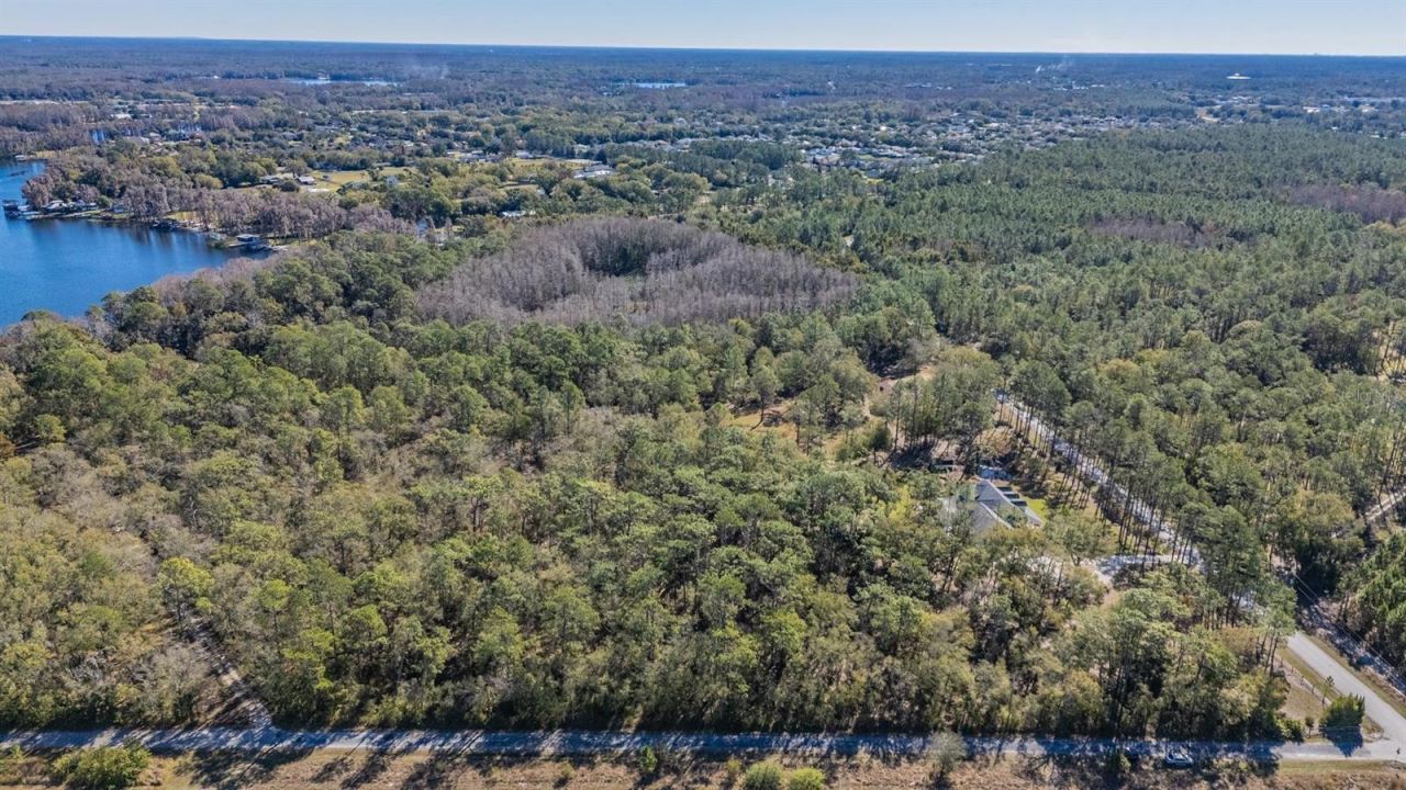 5504 Sun Up Road, Land O Lakes, FL 34638 Photo