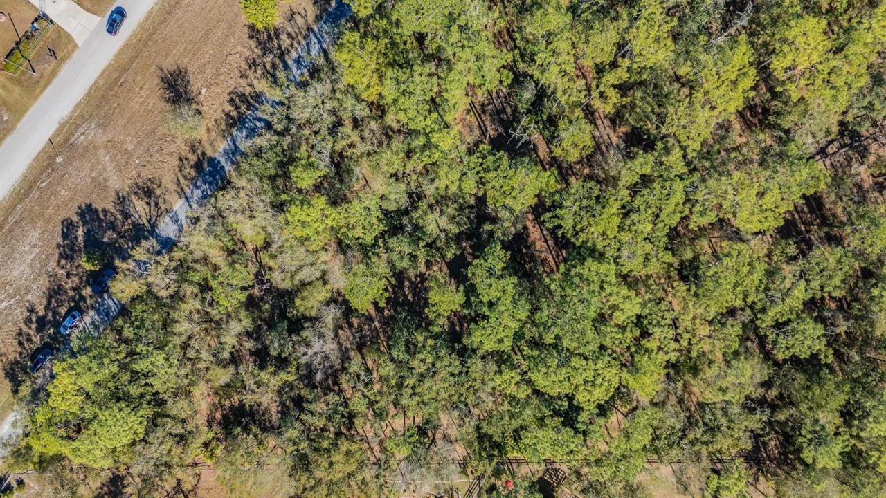 5504 Sun Up Road, Land O Lakes, FL 34638 Photo