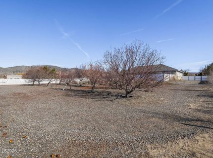 2770 Gordon Avenue, Minden, NV 89423 Photo