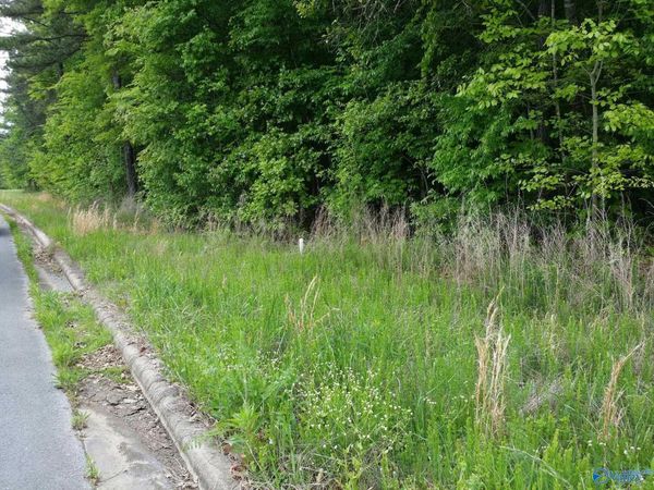 1180b County Road 155, Unit 2 acres, Flat Rock, AL 35966