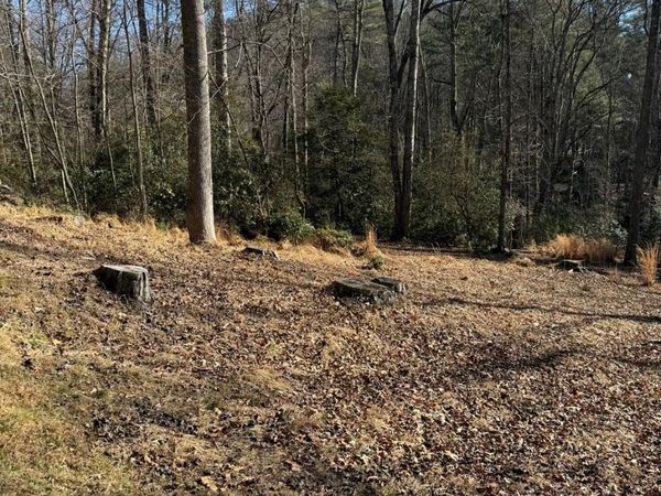 9999 Rockbrook Overlook, Brevard, NC 28712