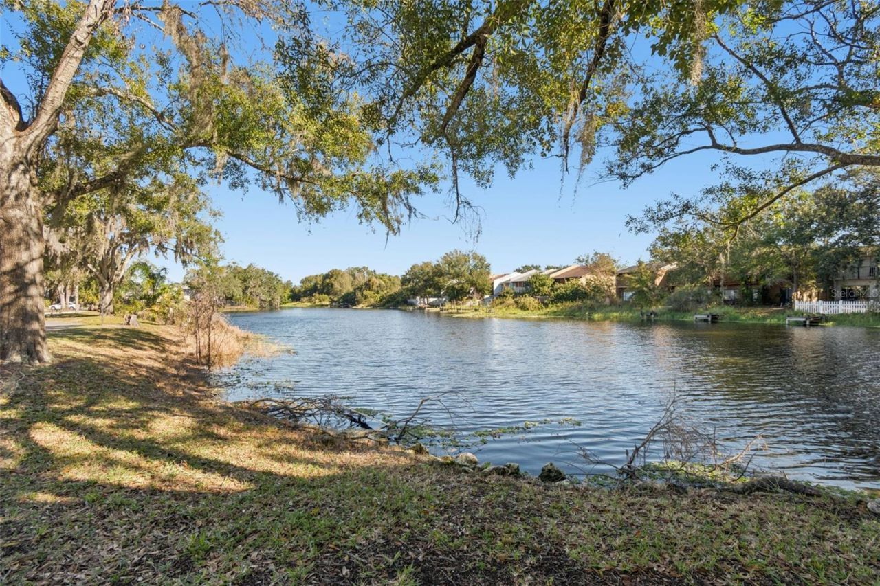 7015 Waterside Drive, Unit 1, Tampa, FL 33617 Photo