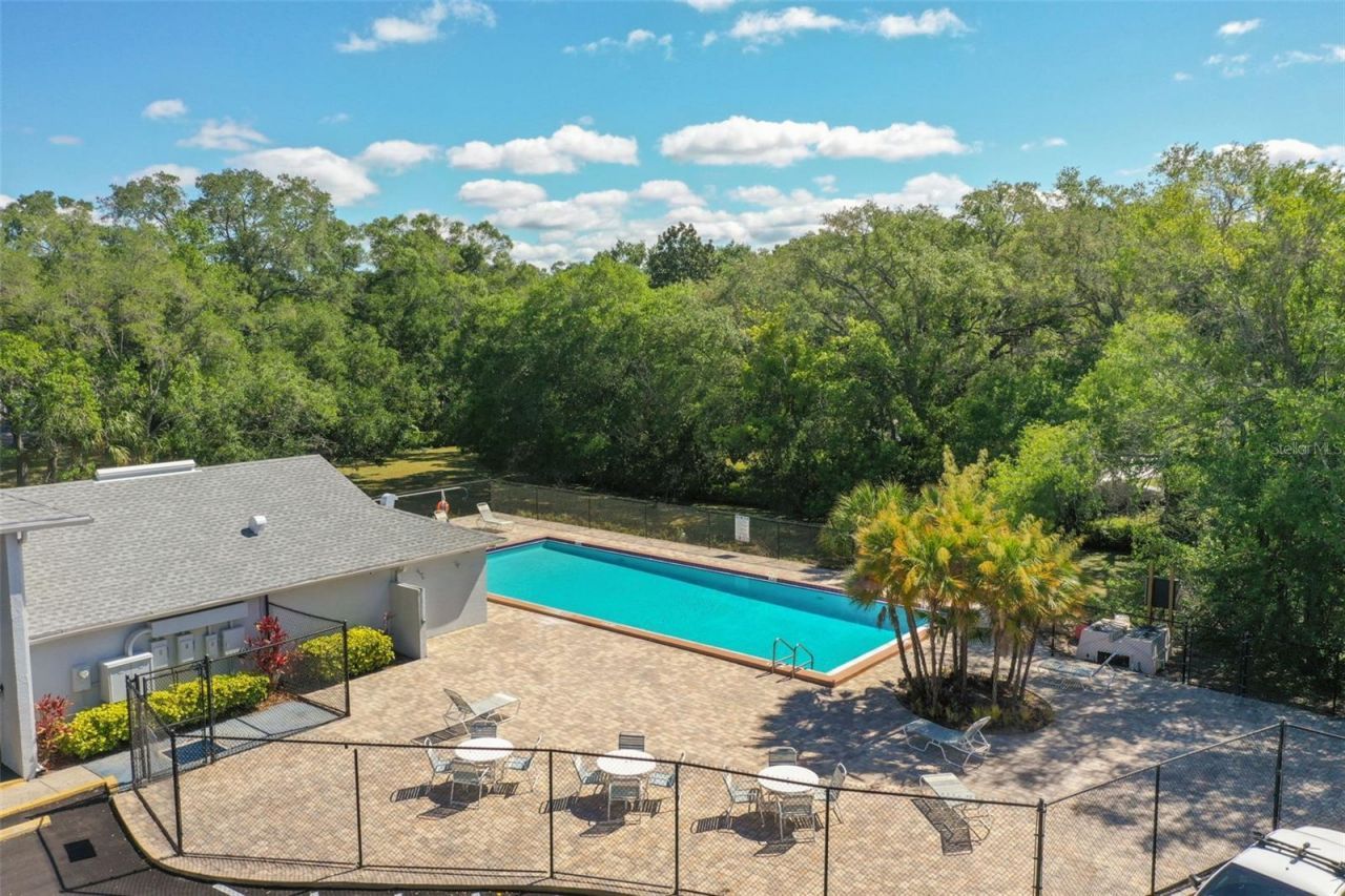 7015 Waterside Drive, Unit 1, Tampa, FL 33617 Photo