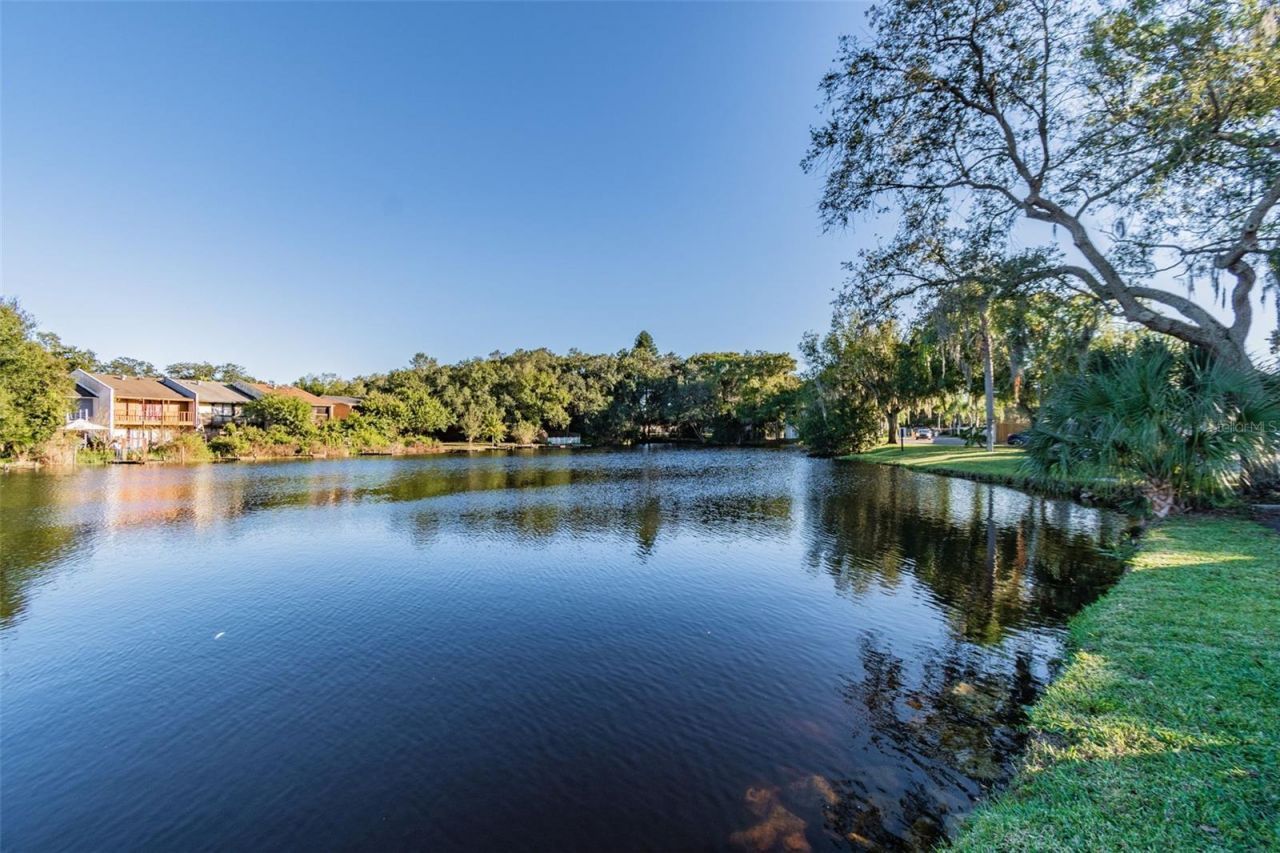 7015 Waterside Drive, Unit 1, Tampa, FL 33617 Photo