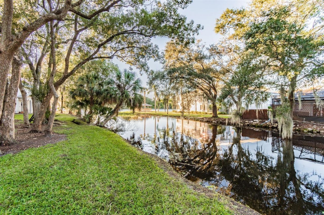 7015 Waterside Drive, Unit 1, Tampa, FL 33617 Photo