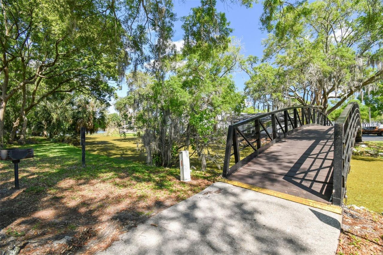 7015 Waterside Drive, Unit 1, Tampa, FL 33617 Photo