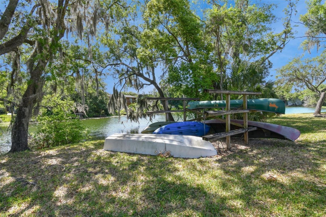 7015 Waterside Drive, Unit 1, Tampa, FL 33617 Photo