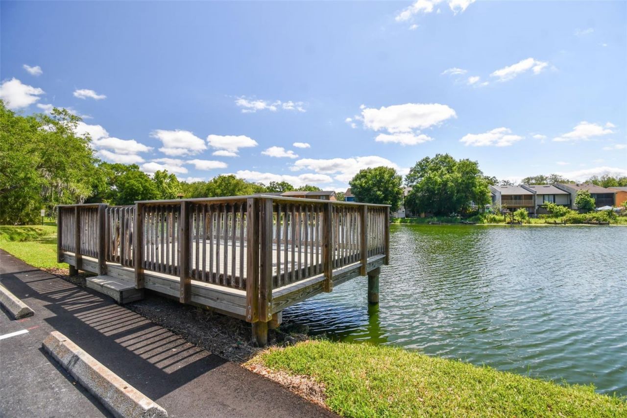 7015 Waterside Drive, Unit 1, Tampa, FL 33617 Photo