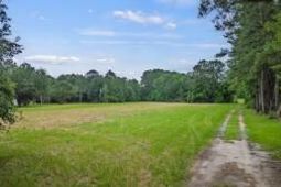 0 Marion Woods Trail photo 4