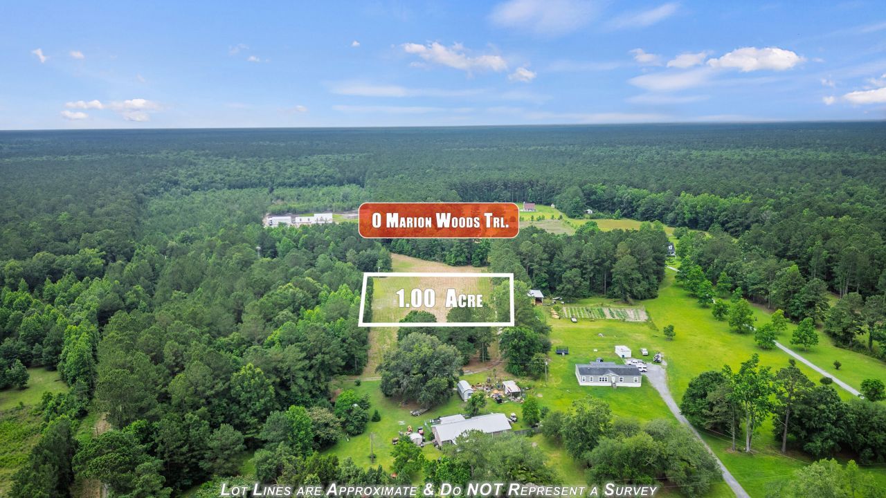 0 Marion Woods Trail Photo 6