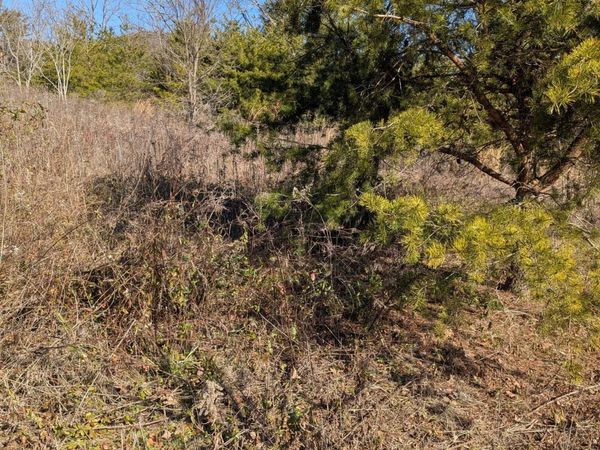 Whispering Court, Bean Station, TN 37708