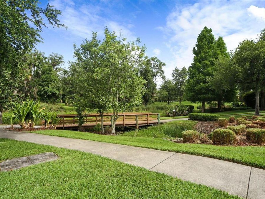 Property Image 58