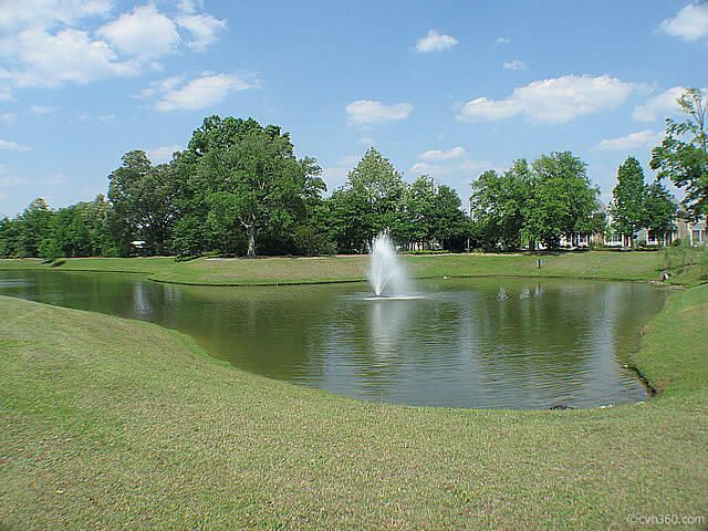 76 Crossandra Avenue Photo 61