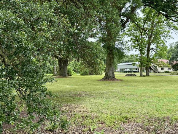 114 Acres Savoy Rd, St Amant, LA 70774