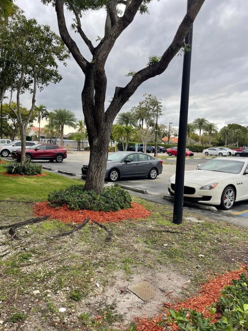 21133 SW 85th Av , Unit 112, Cutler Bay, FL 33189 Photo