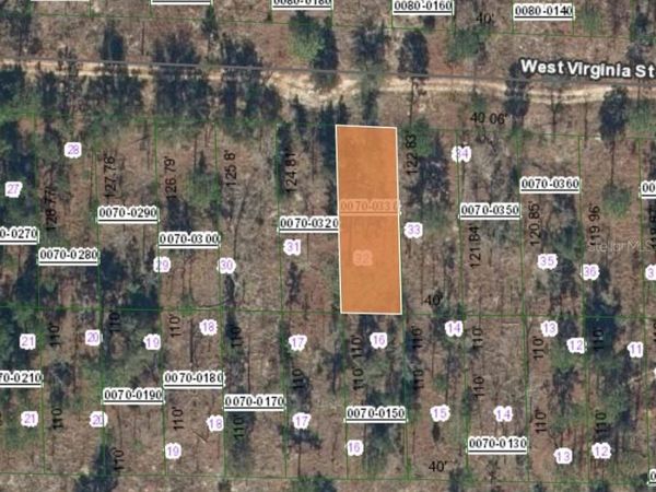 123 WEST VIRGINIA STREET, HAWTHORNE, FL 32640