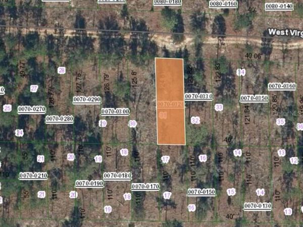 125 WEST VIRGINIA STREET, HAWTHORNE, FL 32640