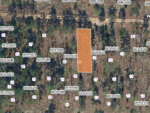 127 WEST VIRGINIA STREET, HAWTHORNE, FL 32640