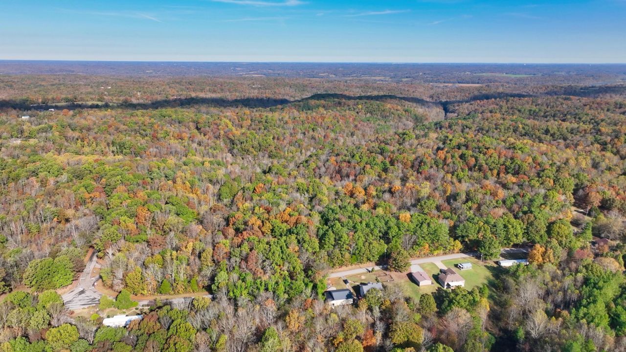 4 Shiloh Canaan Rd, Palmyra, TN 37142 Main Photo