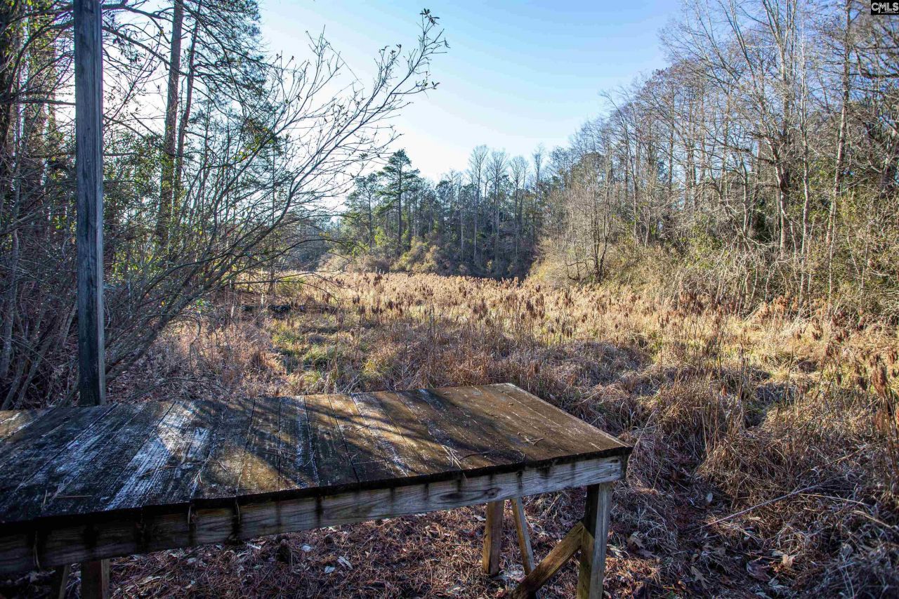 139 Sinclair Lane  Photo 32