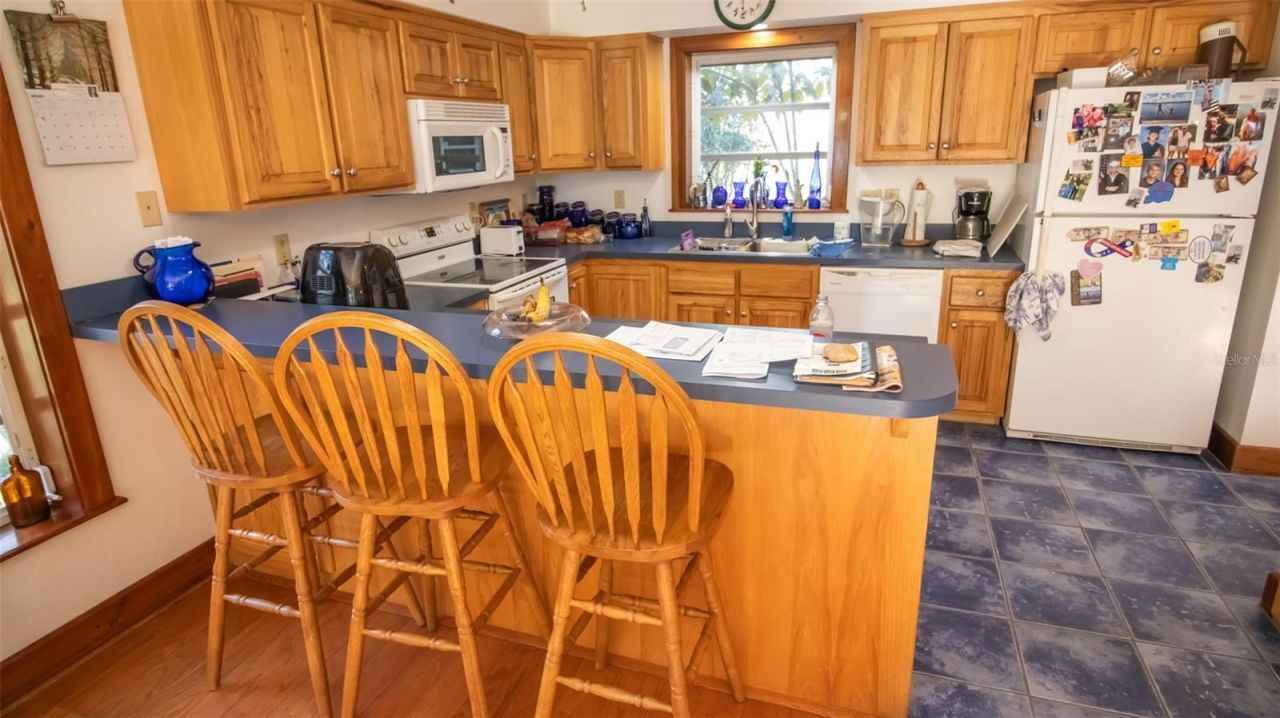 243 Herman Drive, Hawthorne, FL 32640 Photo