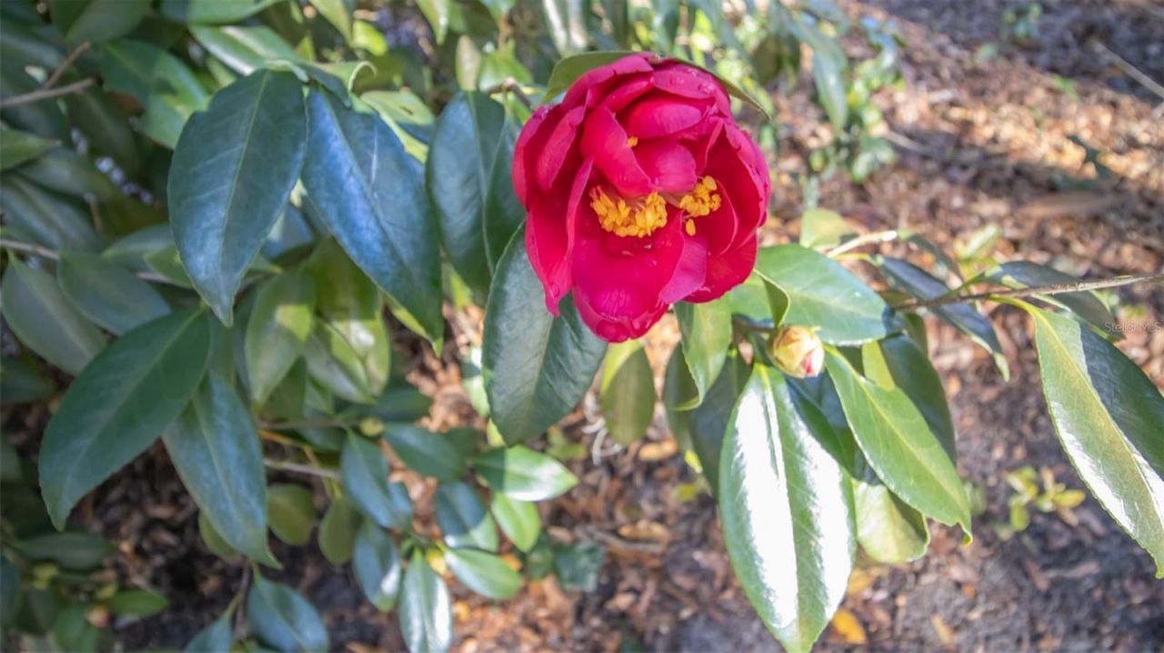 243 Herman Drive, Hawthorne, FL 32640 Photo