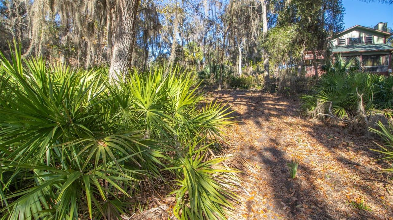 243 Herman Drive, Hawthorne, FL 32640 Photo