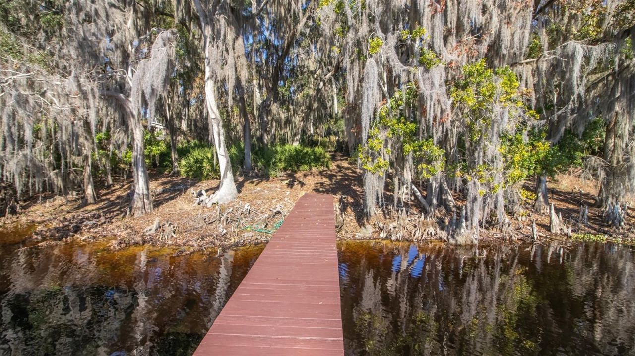 243 Herman Drive, Hawthorne, FL 32640 Photo