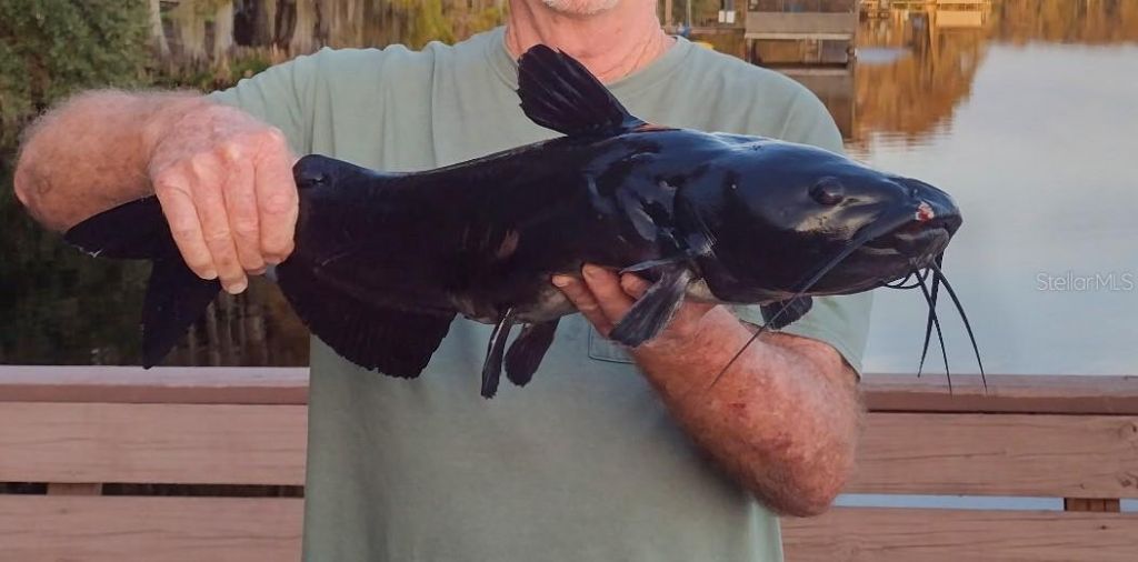 243 Herman Drive, Hawthorne, FL 32640 Photo