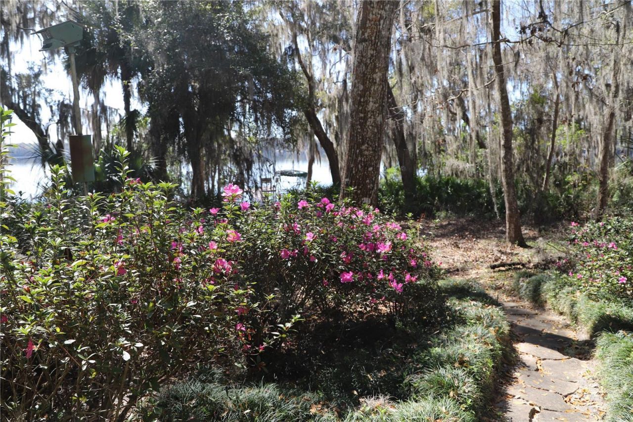 243 Herman Drive, Hawthorne, FL 32640 Photo