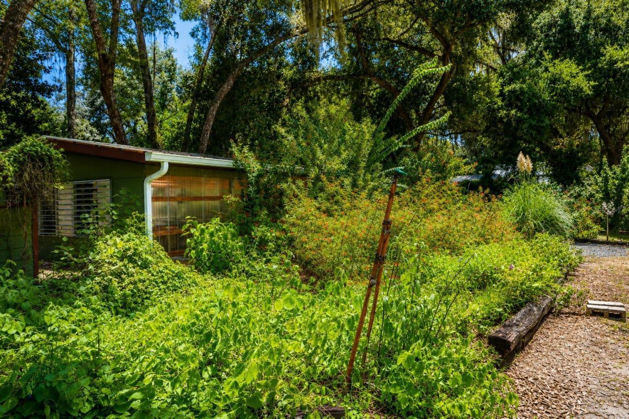 243 Herman Drive, Hawthorne, FL 32640 Photo