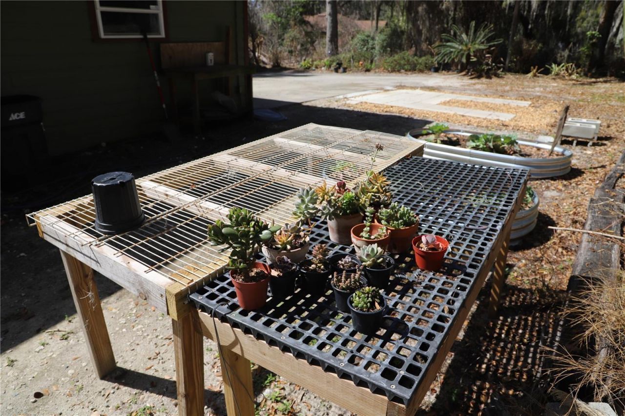 243 Herman Drive, Hawthorne, FL 32640 Photo