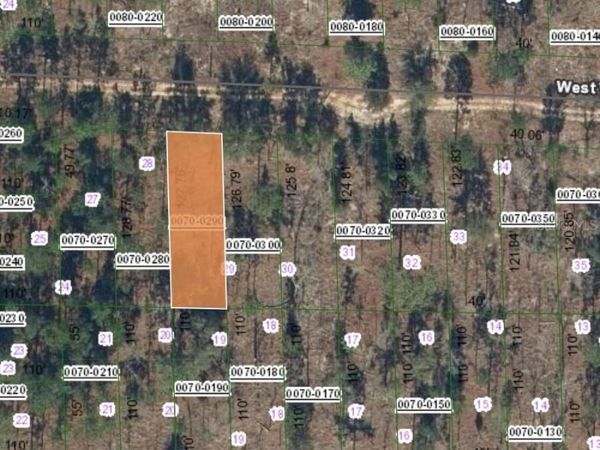 131 WEST VIRGINIA STREET, HAWTHORNE, FL 32640