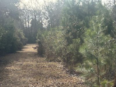 1 Old Jacksonboro Road, Ravenel, SC 29470