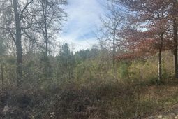 1 Old Jacksonboro Road photo 4