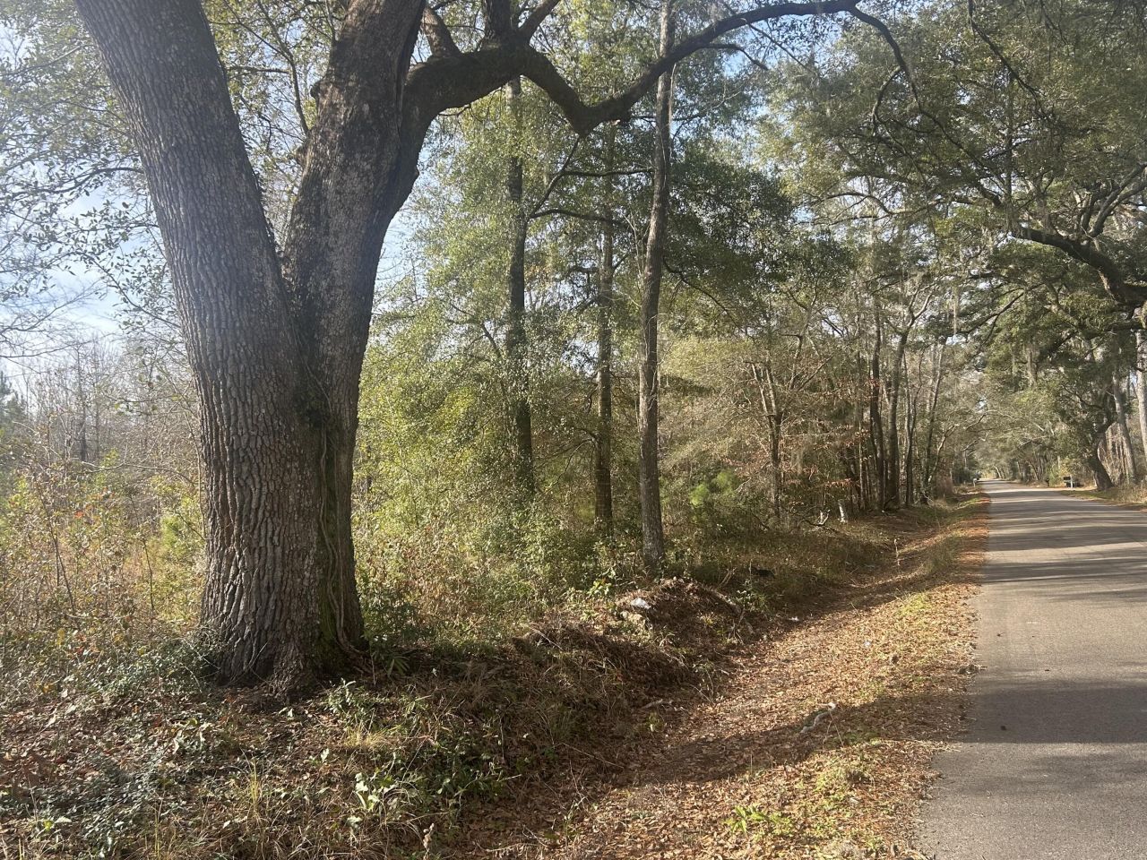 1 Old Jacksonboro Road Photo 4