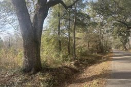 1 Old Jacksonboro Road photo 4