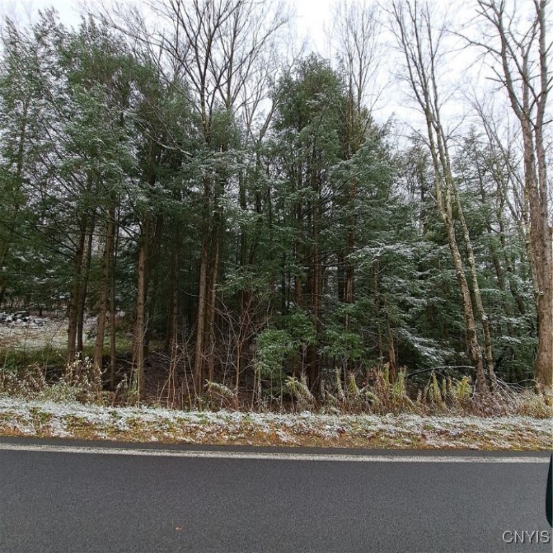 0 County Route 17a, Williamstown, NY 13493 Main Photo